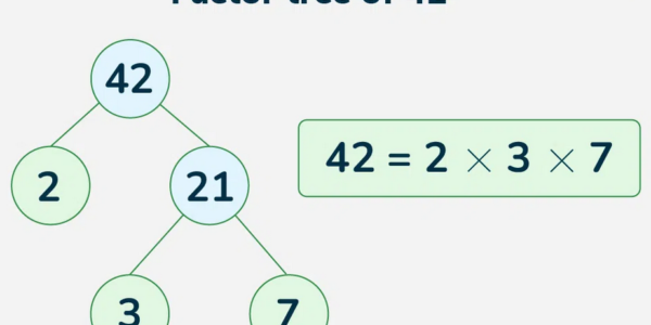 Factor tree of 42 via https://www.geeksforgeeks.org/maths/factors-of-42/
